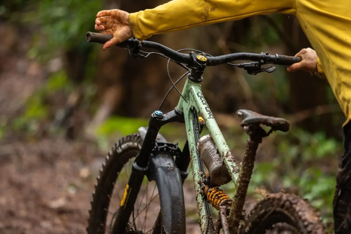 Starling Cycles Logo